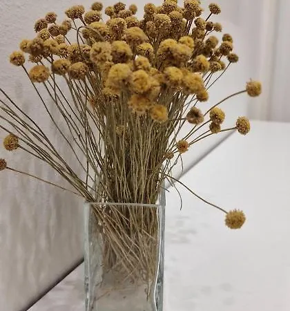 El Mirador De Blanca - Pegado Al Nautico - 2-4 Pax - Vut-3979-as 아파트